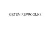 SISTEM REPRODUKSI - dinus.ac.iddinus.ac.id/repository/docs/ajar/14._Sistem_Reproduksi_.pdf10 Genitalia eksterna Skrotum dan penis. ... Anatomi reproduksi wanita. Organ reproduksi wanita