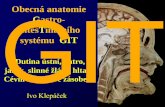 Obecná anatomie IT IntesTinálního systému GIT Gastro-anat.lf1.cuni.cz/souhrny/zubz_12.pdf · a vesica fellea, pancreas 3. Střední střevo– ¾ duodenum, jejunum, ileum, colon