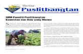 SDM Peneliti Puslitbangtan: Kuantitas dan Usia yang Menuapangan.litbang.pertanian.go.id/files/BP-41-2009.pdf · ISSN 0852-6230 Dari Redaksi ... 55 orang di antaranya ber-pe ndik aS