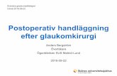 Postoperativ handläggning efter glaukomkirurgi - anbe.se · 3 Glaukomkirurgi • Filtrerande operationer – Trabekulektomi • ExPress – NPT – Shuntar – MIGS: XEN Gel Stent