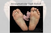 Atraumatiske Fod-Ankel · Apophysitterne i ankel-fod •Apophyse = Sekundær center for ossifikation (calcaneus) • Vækstzonen lukker omkring 15 års alderen. Morbus Osgood Slatter,