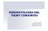 FISIOPATOLOGIA DEL TEIXIT CONJUNTIU - academia.cat · Cada fase té els seus mediadors químics. VII Congrés de Fisioteràpia - 2011 ... Journal of bone and joint surgery. 1999;
