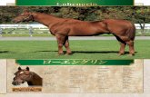 ローエングリン - ノルマンディーオーナーズクラブ … LEX STUD 種牡馬成績 2008年より種牡馬として供用中。【主な産駒】 ロゴタイプ（10