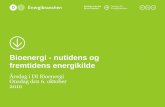 nutidens og fremtidens energikilde - energi.di.dk - DI Energi · Fremtidens energi skal leveres af vedvarende energi ... 06-10-2010 DI Bio Årsdag. 2. Nuværende forsyning og import