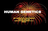 HUMAN GENETICS - ocw.usu.ac.idocw.usu.ac.id/course/download/111-basic-biology-of-clasic/bbc... · Hereditas pada kelompok individu berupa ... sifat yang dibawakan oleh faktor-faktor