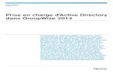 Prise en charge d’Active Directory dans GroupWise 2014 · Prise en charge d’Active Directory dans GroupWise 2014 La flexibilité et l’interopérabilité ont toujours été la