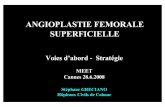 ANGIOPLASTIE FEMORALE SUPERFICIELLEmeetcongress.com/Archives_site2008/pdf/meet2008/SATURDAY JUNE 28... · ANGIOPLASTIE FEMORALE SUPERFICIELLE Voies d’abord - Stratégie MEET Cannes