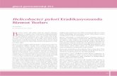 Helicobacter pylori Eradikasyonunda Bizmut Tuzlarıguncel.tgv.org.tr/journal/68/pdf/100496.pdf · bismuth subcitrate (CBS) ve ranitidine bismuth citrate birçok ülkede kullanımdadır.