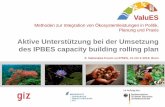 Aktive Unterstützung bei der Umsetzung des IPBES capacity ... · Aktive Unterstützung bei der Umsetzung des IPBES capacity building rolling plan. Ökosystemleistungen in der Praxis: