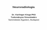 Dr. Karlinger Kinga PhD Tudományos főmunkatársoftankonyv.reak.bme.hu/tartalom/hun/neurorad_kk.pdf · Dr. Karlinger Kinga PhD Tudományos f ... – contusio • Cerebrovascularis