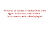 Moyens et modes de détections d'un agent infectieux chez l ...entreide.free.fr/cours/2a/ue25s3/microbiologie Dr Vachée.pdf · RAPPELS Agents infectieux = Micro-organismes (microbes)
