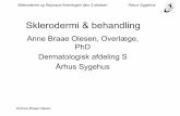 Anne Braae Olesen, Overlæge, PhD Dermatologisk afdeling S ... · Esofagus, Sklerodaktyli og Teleangiektasier . ... Ca-blokker (nifedipin) Losartan (Angiotensin II hæmmere) Iliomedin