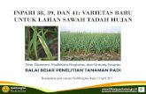 INPARI 38, 39, DAN 41: Varietas Padi Sawah Tadah Hujanpangan.litbang.pertanian.go.id/files/seminar/2017/INPARI TADAH... · UNTUK LAHAN SAWAH TADAH HUJAN Trias Sitaresmi, Yudhistira