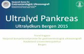 Klinisk nytte av en direkte test for eksokrin pankreassvikt. · Ultralyd Pankreas Ultralydkurs Bergen 2015 . Pankreas-oversikt M P •Normal pankreas fremstilling •Pankreas cancer