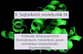 3. Sejtalkotó molekulák III. - chembiol.ttk.mta.huchembiol.ttk.mta.hu/ea/MBA3ea.pdf · •Apoenzim (kofaktor nélkül), holoenzim (kofaktorral) •Inhibitorok (enzimgátlók) Enzimek.