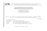 ÍNDICE148.206.53.84/tesiuami/UAMI14721.pdf · Sandra Olimpia Mendoza Díaz, ... max Absorbancia máxima ABTS 2,2’-azino-bis ... ESR Electron Spin Resonance