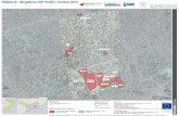 SOMALIA - Mogadishu IDP Profile, October 2015 · Contact: reach.mapping@impact-initiatives.org Wazarada caafimadka Sikurusiyun Tawakal 2 Tawakal 3 Cuuriyaamiinta Dulmi diid Elman