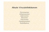 Akute Virusinfektionen - Institut für Virologie ...virologie.medizin.uni-leipzig.de/imag/Akute Virusinfektionen.pdf · • bei Kindern kann eine Otitis media auftreten Influenzaviren