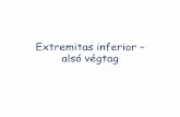 Extremitas inferior – alsó végtag - sci.u-szeged.hu. gyakorlat... · Extremitas inferior – alsó végtag Author. Created Date: 9/29/2010 1:54:17 PM ...