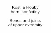 Kosti a klouby - 2. lékařská fakulta Univerzity Karlovyanatomie.lf2.cuni.cz/files/page/files/2016/zobrazeni_kosti_a... · acromion spina scapulae art. sternoclavicularis angulus