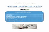 LES LYMPHOMES CHEZ LE CHAT - labforvet.belabforvet.be/data/uploads/docs/les-lymphomes-chez-le-chat.pdf · lymphome digestif). Une meilleure connaissance, classification des différents