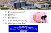 T (Toxoplasmosis) O (Other) R (Rubella) C (Cytomegalovirus ... · •R (Rubella) •C (Cytomegalovirus) •H (Herpes simplex) ... Hamilelik ve kongenital toksoplasmosisde tedavi .