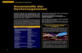 Hemmstoffe der Cyclooxygenasen - media.dav-medien.demedia.dav-medien.de/sample/9783769263077_p.pdf · 16 Pharmako-logisch! Pharmakodynamik Ähnlich wie bei den Benzodiazepinen (DAZ