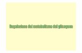Glycogen Synthesis + glucose-1-P glycogen Metabolismo glicogeno.pdf · Fosforilasi chinasi b OP Fosforilasi chinasi a OH Glicogeno fosforilasi b proteina Fosfatasi 1 Attivata dall’