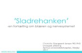 Sladrehanken - Dansk Sygeplejeråd · • Anamnese (hvad, hvornår, hvordan) –urinveje, tarm og seksualfunktion • Objektiv undersøgelse incl. neurologisk ... • Bækkenbundstræning