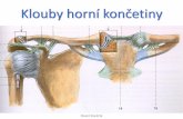 Klouby horní končetiny - anatomie.lf2.cuni.cz · – membrana interossea antebrachii (předloketní mezikostní blána) – chorda obliqua (šikmá část) Articulatio humeri (Art.