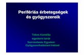 Perifériás érbetegségek és gyógyszereik - Kezdőoldalvizsgazas.etovabbkepzes.hu/Files/Exams/27/09.Periferias... · • Aranyér (nodus hemorrhoidalis) Varicosus vénák okozta