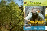 Warta Cendana Edisi VIII No.1 2015 - Badan Litbang dan ... · jenis perkutut-dara-merpati (dove-pigeon), Kegiatan memelihara burung di Indonesia burung-burung berbulu indah dan jenis