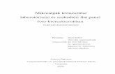 Mikroalgák termesztése laboratóriumi és szabadtéri flat panelkonyvtar.uni-pannon.hu/doktori/2016/Bocsi_Robert_dissertation.pdf · karbanion bázisú tioészter kondenzációja
