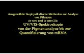 in vivo und UV/VIS-Spektroskopie - von der Pigmentanalyse ... · Ausgewählte biophysikalische Methoden zur Analyse von Pflanzen in vivo und in situ (II): UV/VIS-Spektroskopie - von