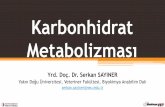 Metabolizması - biyokimya.vetbiyokimya.vet/documents/biyokimya/Karbonhidrat_Metabolizmasi.pdf · Monogastriklerde Karbonhidrat Sindirimi Karbonhidrat emilimi büyük oranda aktif