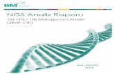 NGS Analiz Raporu - bmlabosis.com · göstermektedir. PCoA genelde filogenetik ya da mesafe matrix bilgileri kullanarak örneklerin karşılaştırılmasını sağlar. FİGÜR 5.