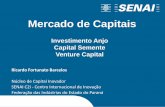 Investimento Anjo Capital Semente Venture Capital · Investimento Anjo Capital Semente Venture Capital Ricardo Fortunato Barcelos Núcleo de Capital Inovador SENAI C2i - Centro Internacional