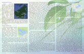 Gambaran Umum Danau Melintang, Semayang dan Jempang fileSedangkan jenis reptil yang ditemui adalah Biawak Kalimantan, Buaya Sapit, Kura-kura, dan Ular. Vegetasi aquatik perairan Danau