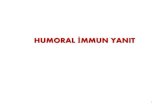 HUMORAL İMMUN YANIT - cdn.istanbul.edu.trcdn.istanbul.edu.tr/FileHandler2.ashx?f=humoral-ve-hucresel-immun... · T-bağımsız Antijenlere Karşı Humoral İmmun YanıtTh yardımı