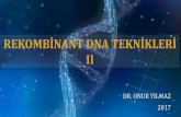 REKOMBİNANT DNA TEKNİKLERİ - oyilmaz.orgoyilmaz.org/document/rekDNA2.pdf · palindromik sekansta her iki 5’- 3’yönündekibaz sekanslarıaynıdır. 5’ 5’ 3’ 3’ Restriksiyon