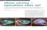 ØJNE Ulcus cornea – operation eller ej? - anicura.dk · Ulcus cornea – operation eller ej? Vi skylder vore patienter at tilbyde ejeren den mest optimale behandling af ulcus cornea.