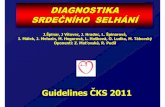 DIAGNOSTIKA SRDEČNÍHO SELHÁNÍ - kardio-cz.cz · Cor Vasa 2007;49(1):Kardio Doporučení pro dg. a léčbu chronického srdečního selhání platná v roce 2011 European Heart