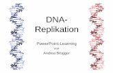 DNA- Replikation · ermöglicht es, von diesem Molekül ein Duplikat herzustellen. Werden nämlich Werden nämlich jeweils die beiden Basenpaare einer Sprosse getrennt, so entstehen