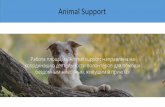 Animal Support - ruspetsforum.ruruspetsforum.ru/wp-content/uploads/2016/10/Bogomolov.pdfOOPAVIHa141/lP ae 6e3AOÚHblM Bos 1M, B npl/10Tax . o nvoerre Animal Support Perr'crpal_vq na
