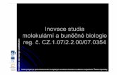 Inovace studia molekulární a bun né biologie reg. č. CZ.1 ...inovace-mbb.upol.cz/files/vyukovy-portal/populacni_genetika/kbb-pg... · Populační genetika - studuje genetickou