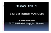 TUGAS IDK 1 - Universitas Indonesiastaff.ui.ac.id/.../users/tutinfik/material/tugasidk1sistemtubuhmns.pdf · SISTEM SYARAF PUSAT ... GANGGUAN ENDOKRIN ... mengeluarkan terlalu sedikit