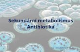 Sekundární metabolismusold-biomikro.vscht.cz/vyuka/bm/Antibiotika_2014.pdf · Inhibice syntézy bílkovin •Streptomycin ( a další aminoglykosidy) vazba na malou podjednotku