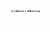 No Slide Titlebio.ijs.si/~upetrovic/png/Biosinteza_nukleotidov_predavanje_7.pdf · Nukleotidi • sestavni deli nukleinskih kislin • sodelujejo pri sintezi nekaterih drugih makromolekul