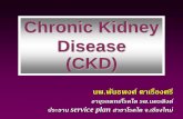 Chronic Kidney Disease (CKD) - chiangmaihealth.go.th · Chronic Kidney Disease (CKD) นพ.พันธพงศ์ ตาเรืองศรี อายุรแพทย์โรคไต