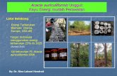 Acacia auriculiformisUnggul: Kayu Energi mudah Perawatan fileBreeding Strategy Populasi dasar Populasi Pemuliaan Populasi Perbanyakan Populasi Produksi Individu terseleksi untuk Gain
